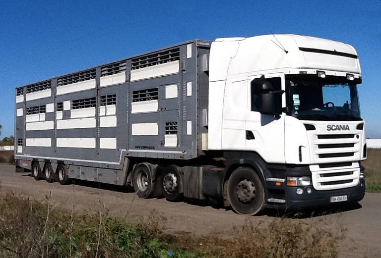 Прицеп для перевозки крупного рогатого скота из Россия, Волгоград в Азербайджан, Баку